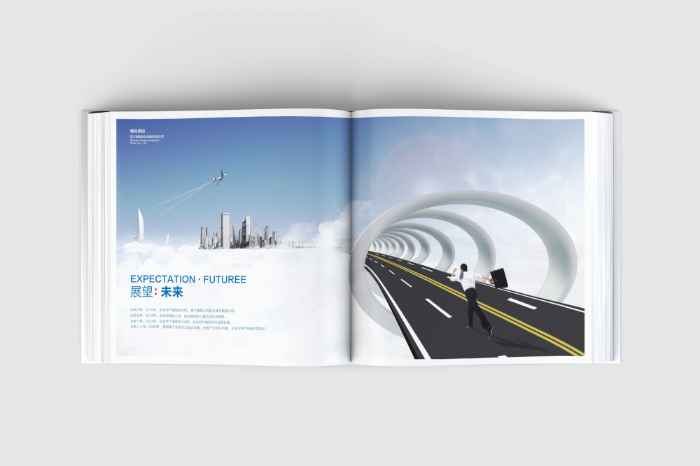 新乡县画册设计